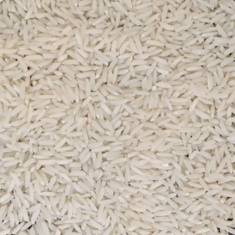 برنج طارم هاشمی ناریوران زرین خوشه طبرستان